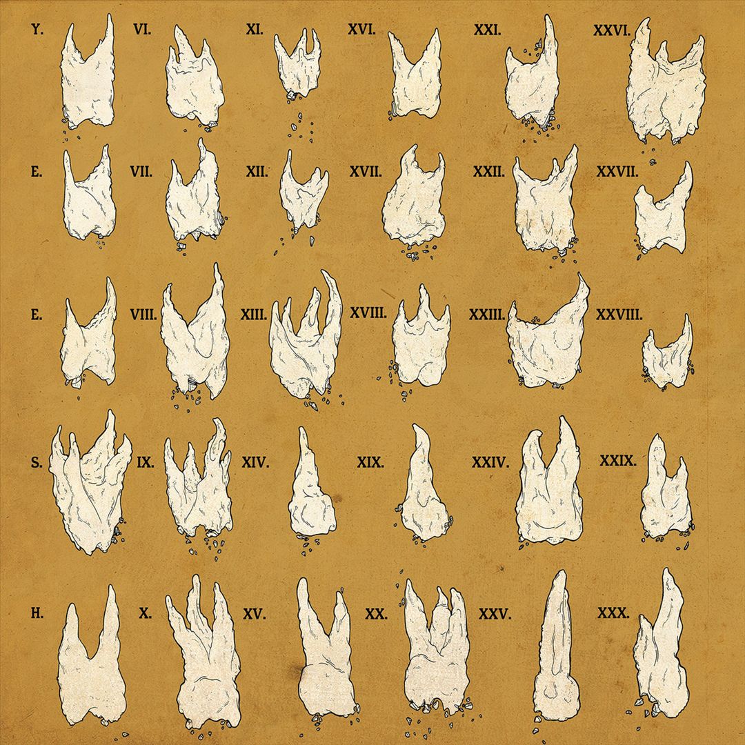 Confirmation Bias cover art