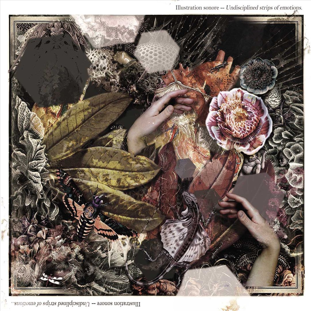Undisciplined Strips of Emotions cover art