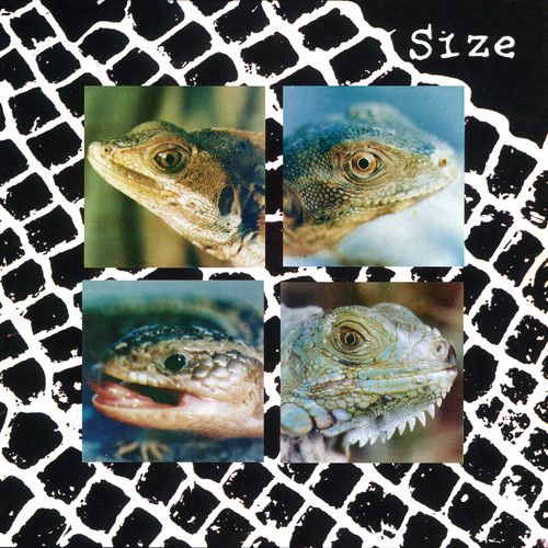 Nadie Puede Vivir Con Un Monstruo cover art