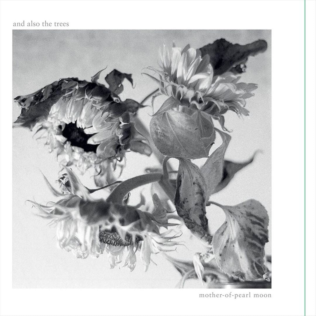 Mother-of-Pearl Moon cover art