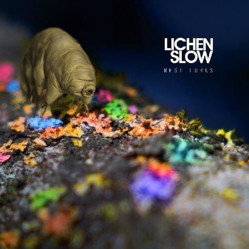 Rest Lurks cover art