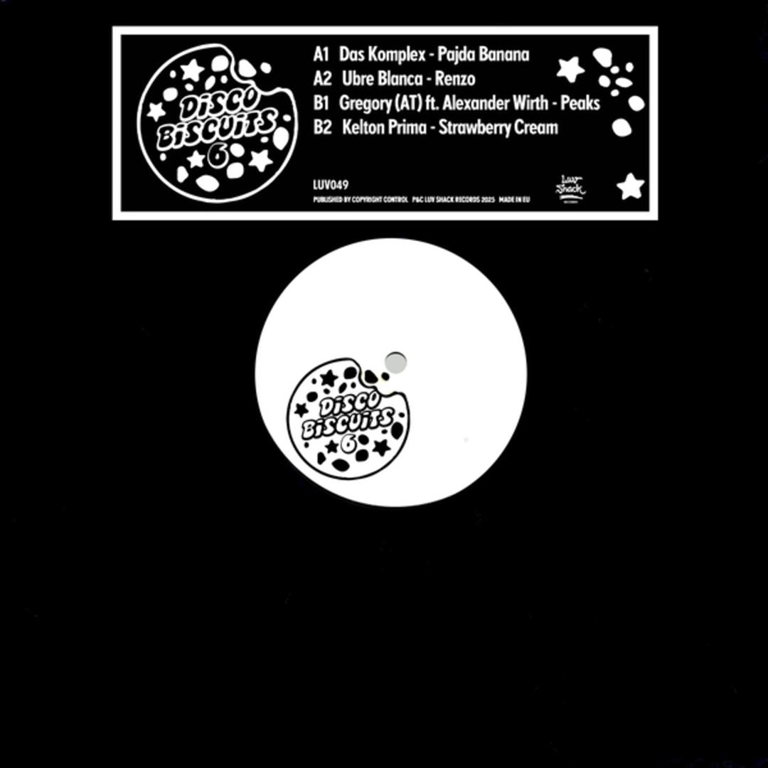 Disco Biscuits #6 cover art