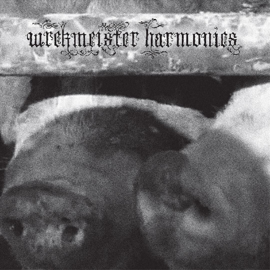 Flowers in the Spring cover art