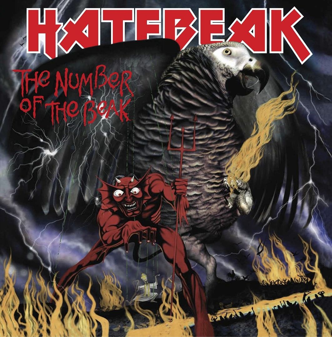 Number of the Beak cover art