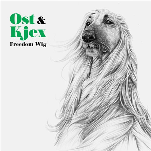 Freedom Wig cover art