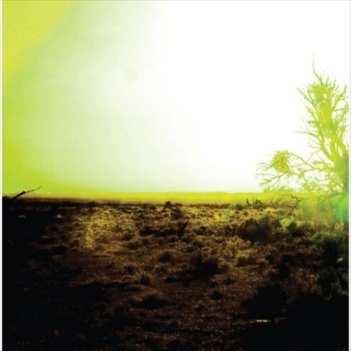 Strings of Consciousness and Angel cover art