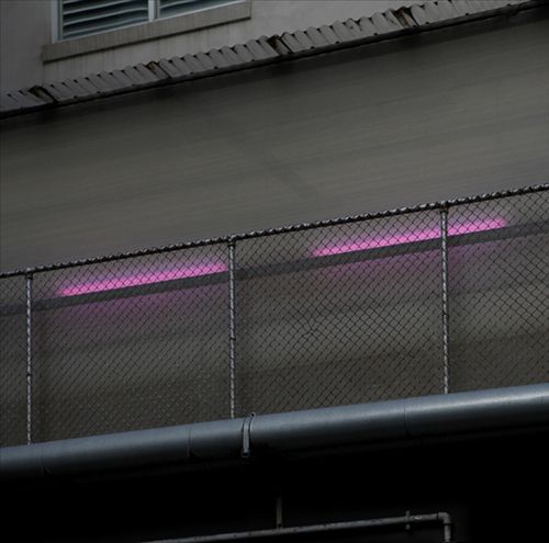 Blow in the Bag cover art