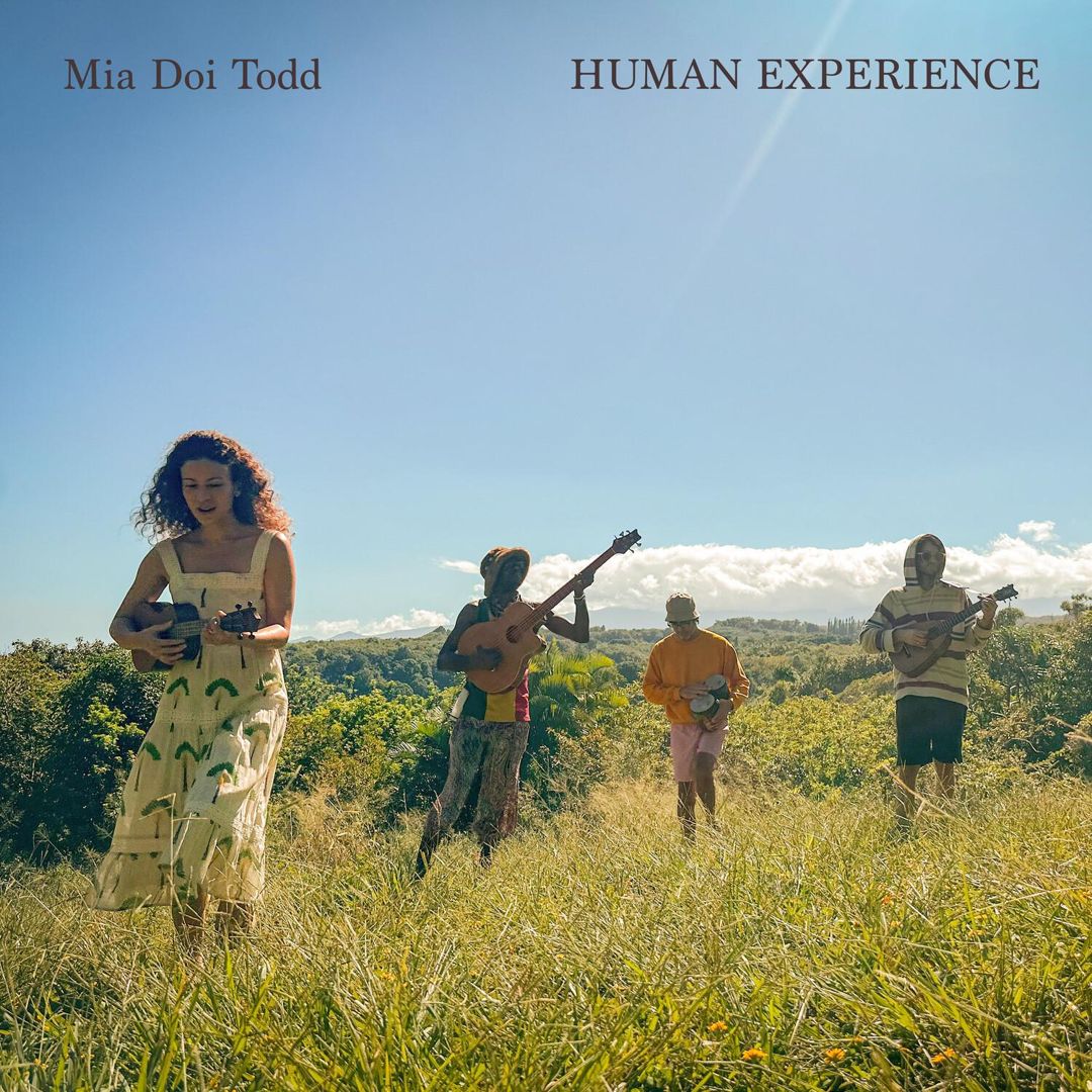 Human Experience cover art