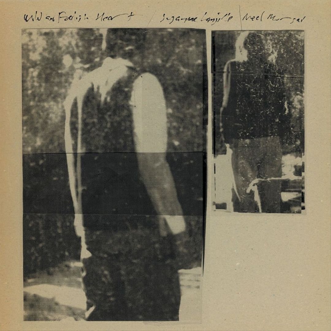 Wild & Foolish Heart cover art