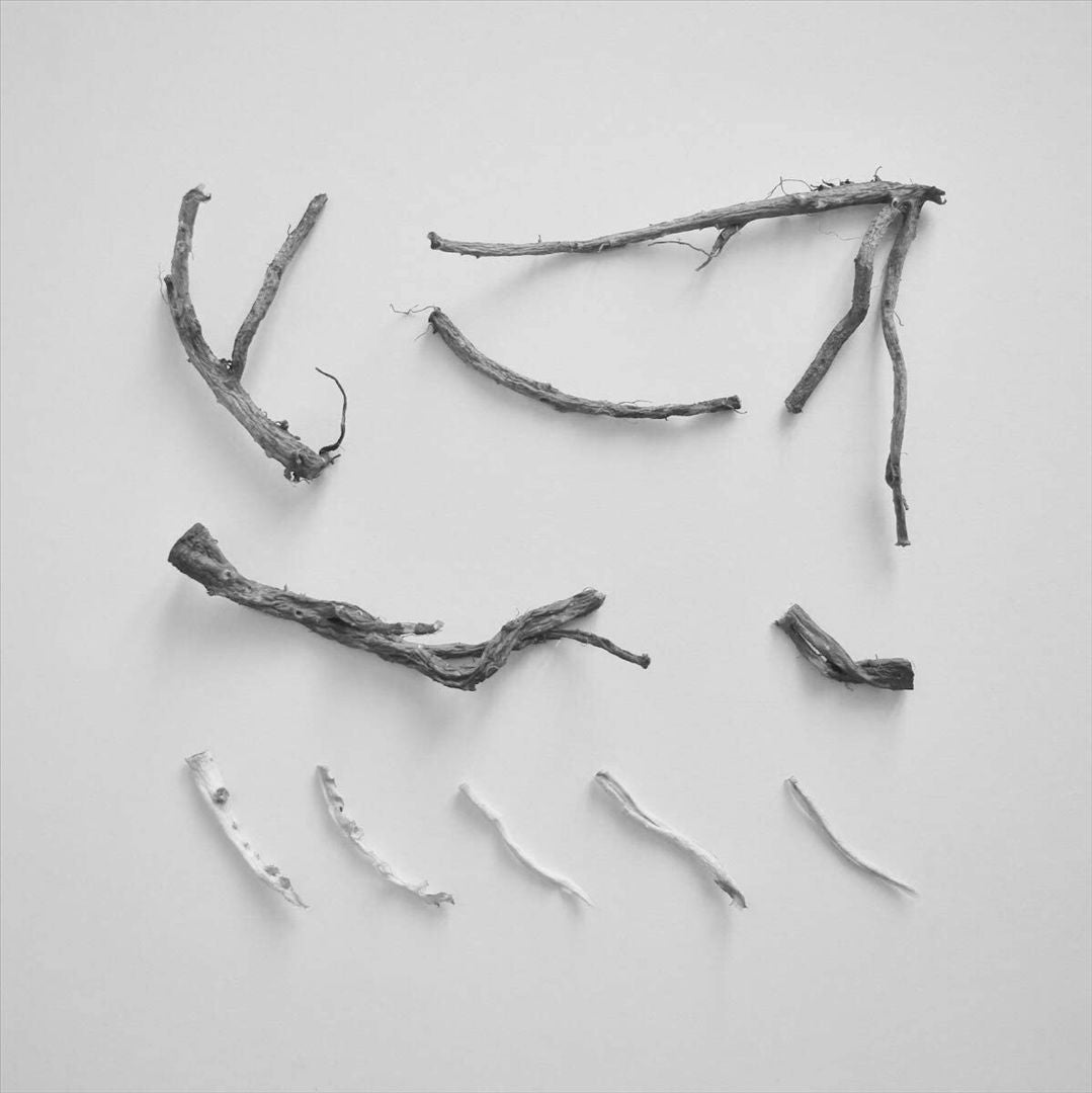 These Charms May Be Sung Over a Wound cover art