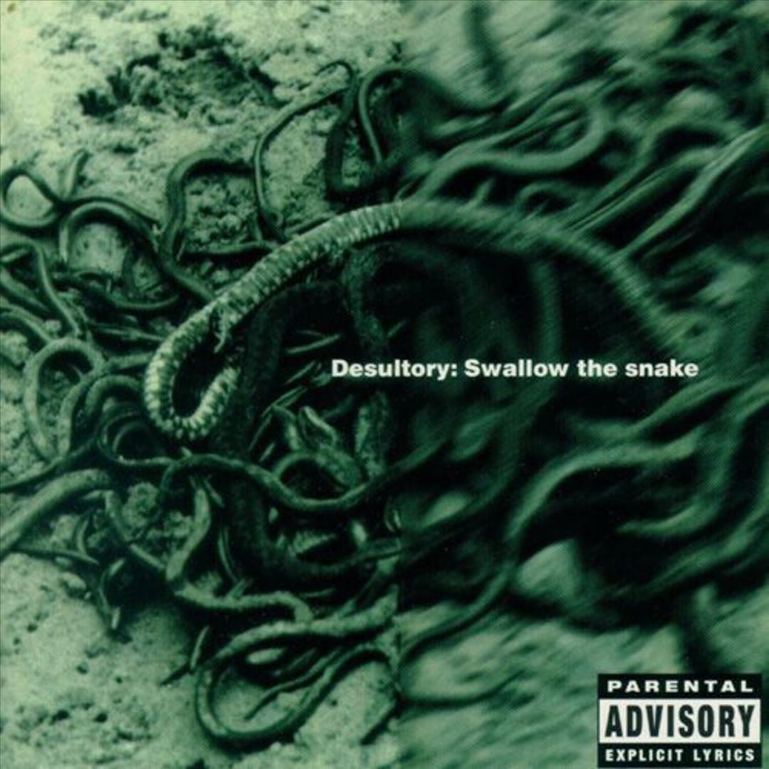 Swallow the Snake cover art