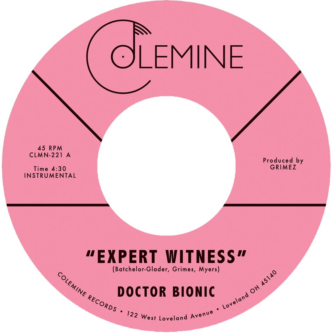 Expert Witness cover art