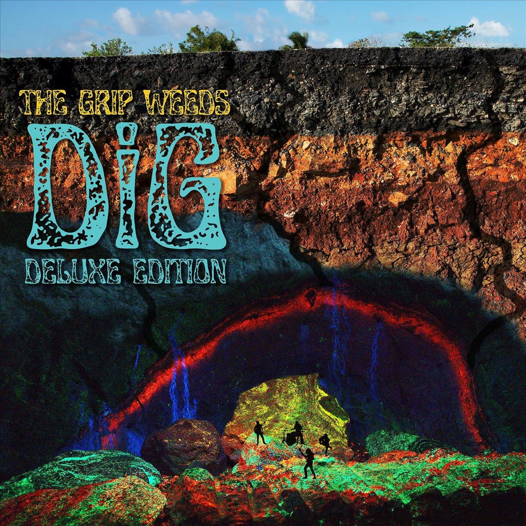 Dig cover art