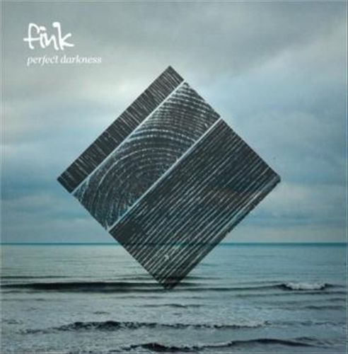 Perfect Darkness cover art