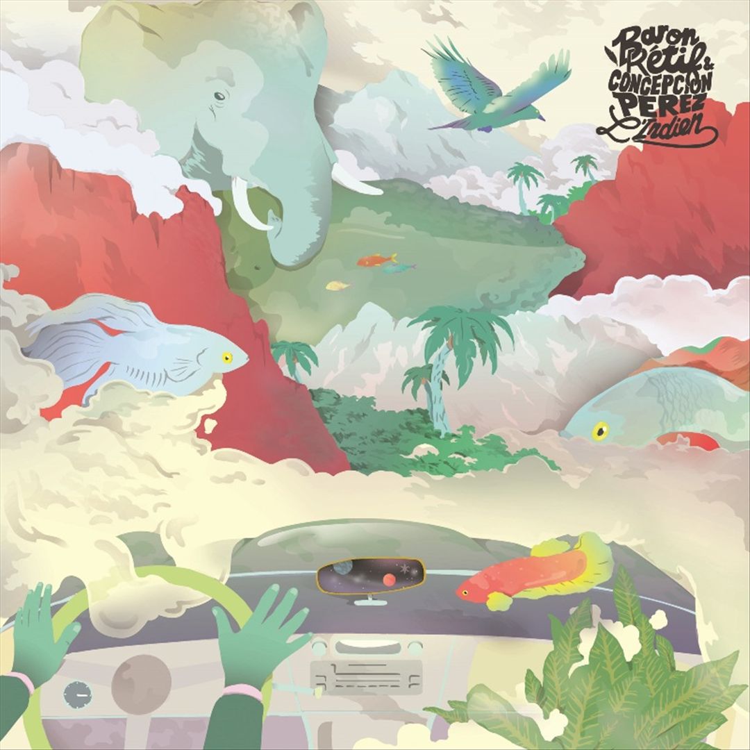 Indien cover art