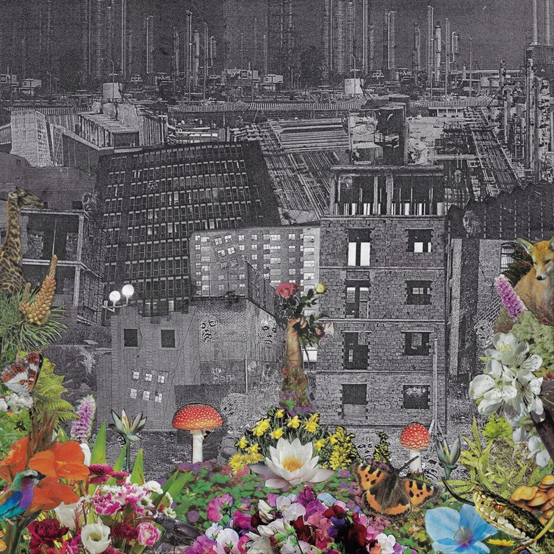 Perpetual Eden cover art