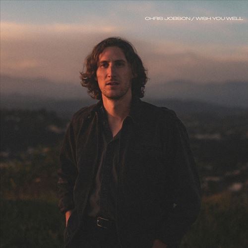 Wish You Well cover art
