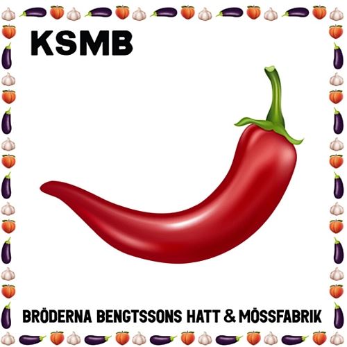 Broderna Bengtssons Hatt & Mossfabrik cover art