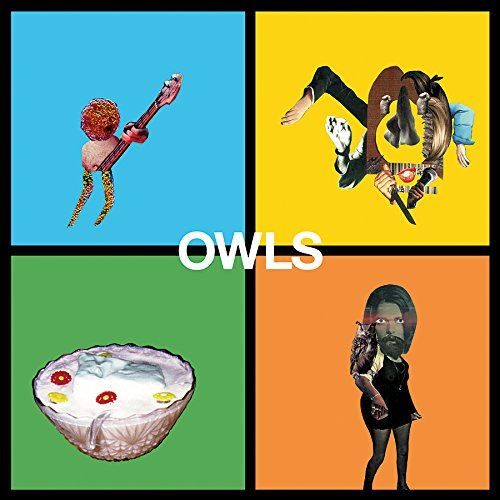 Owls cover art