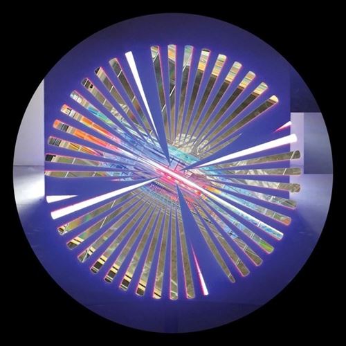 Wild Feelings cover art