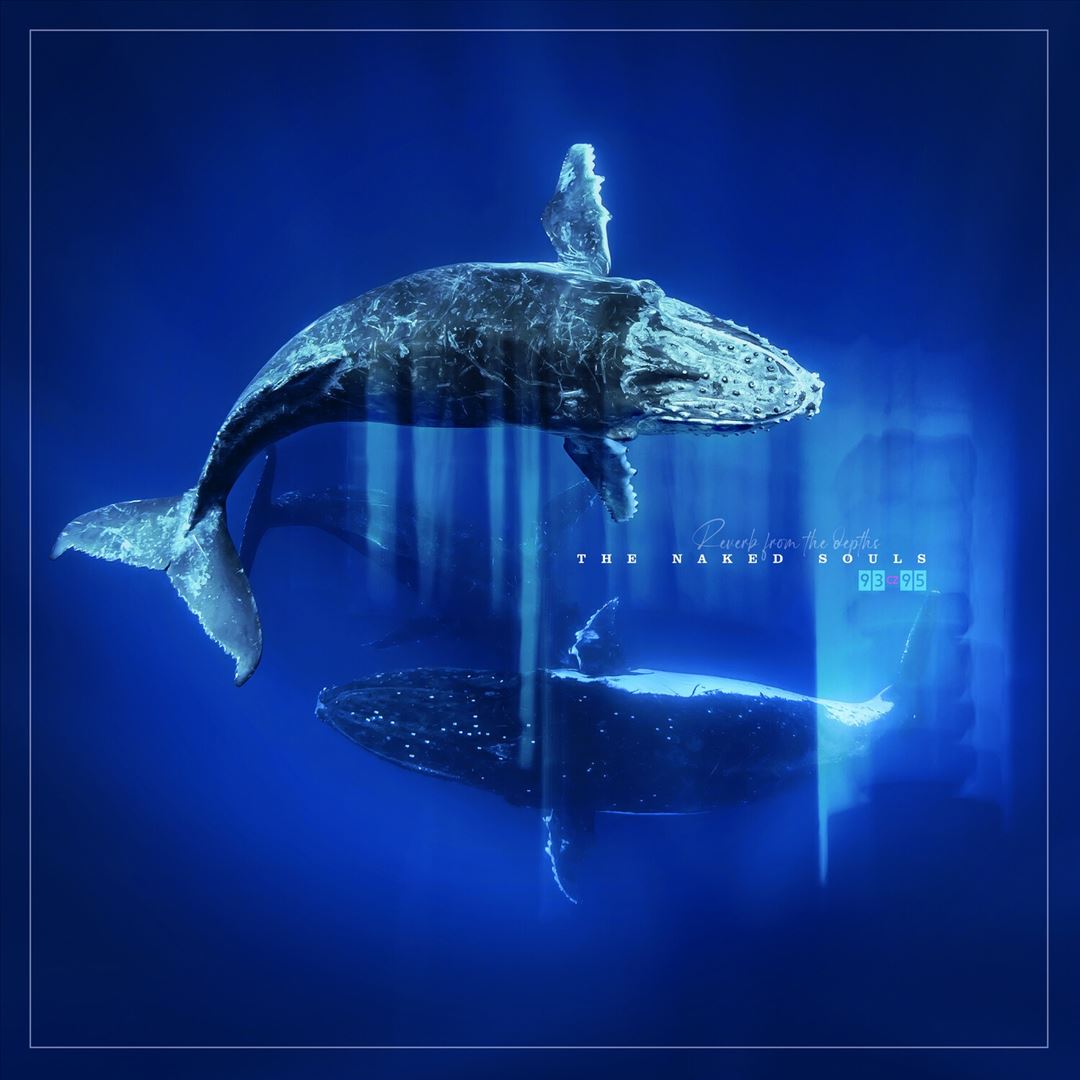 Reverb from the Depths cover art