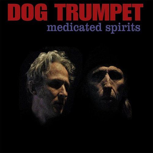 Medicated Spirits cover art