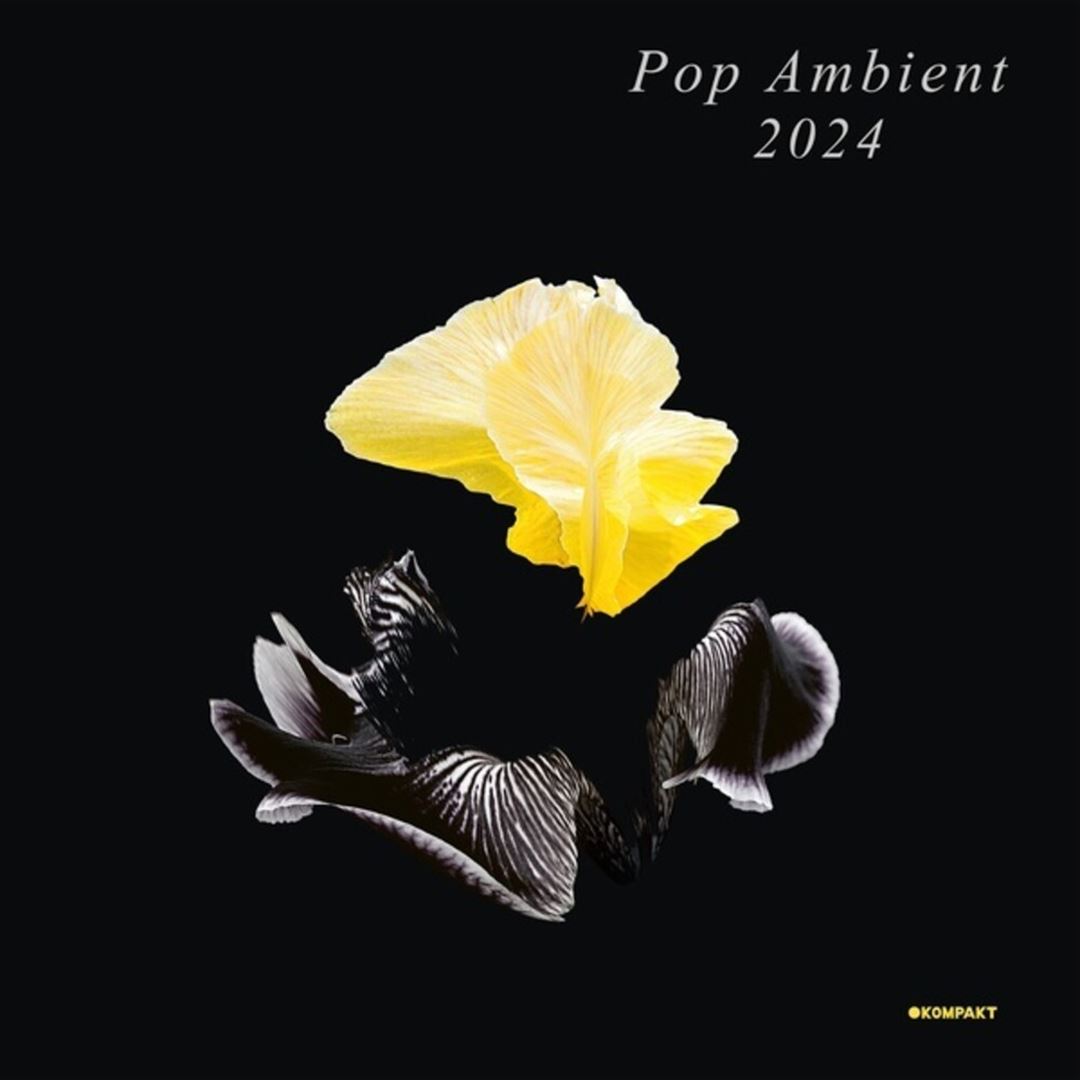 Pop Ambient 2024 cover art