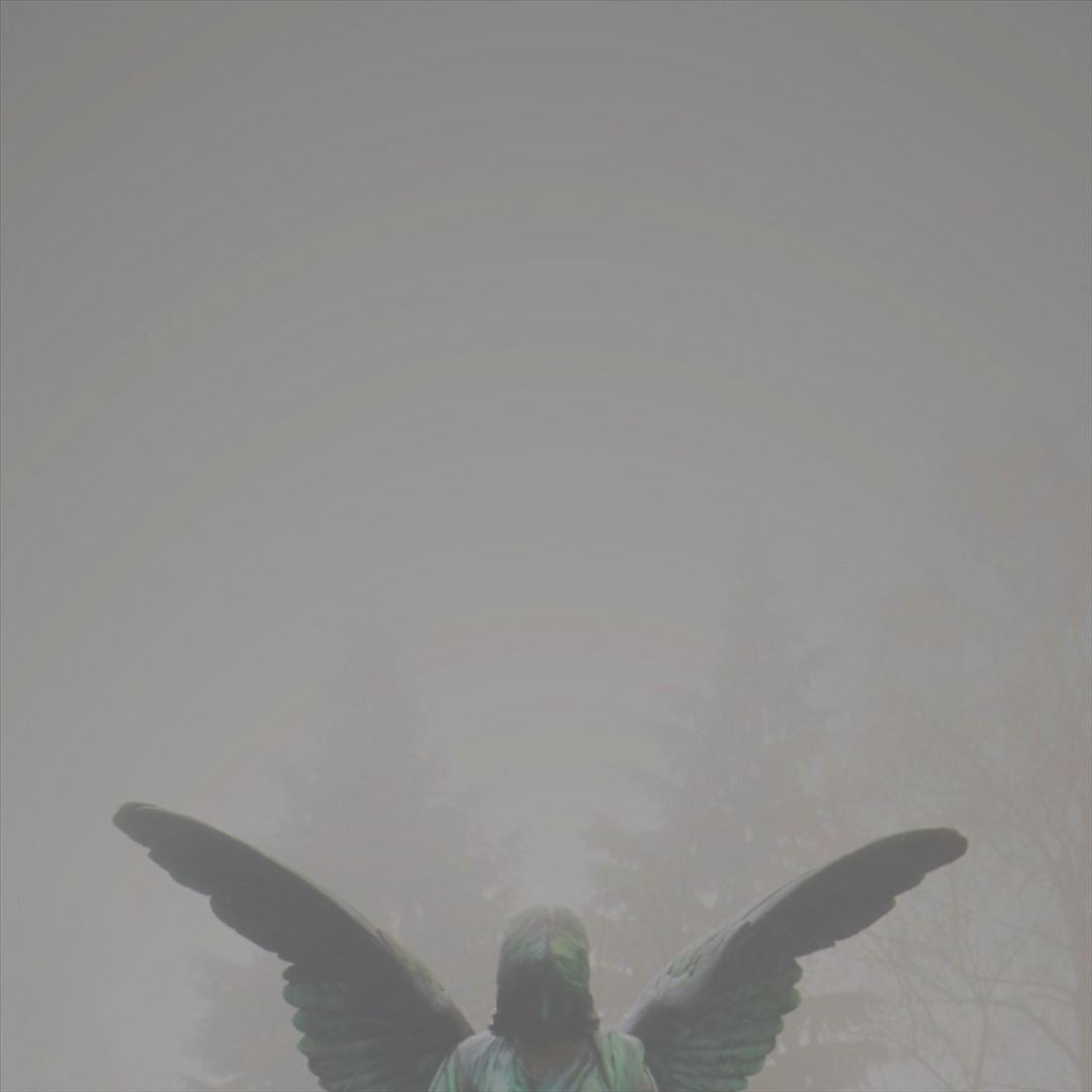 Pity/Piety cover art