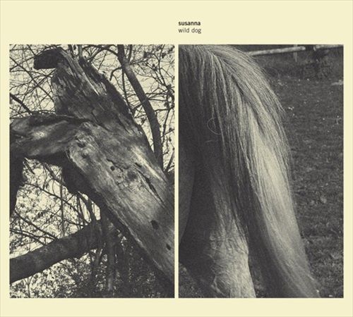 Wild Dog cover art