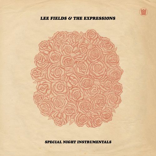 Special Night Instrumentals cover art