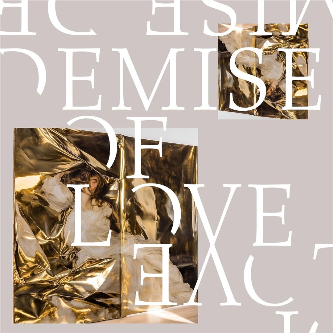 Demise of Love cover art
