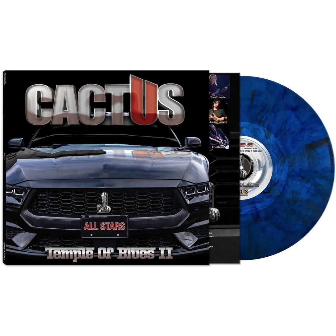 Temple of Blues 2: All-Stars cover art
