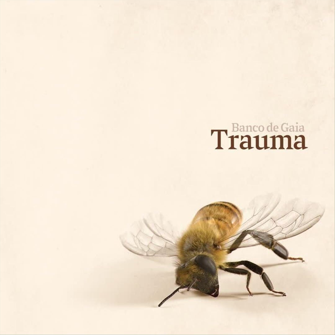 Trauma cover art