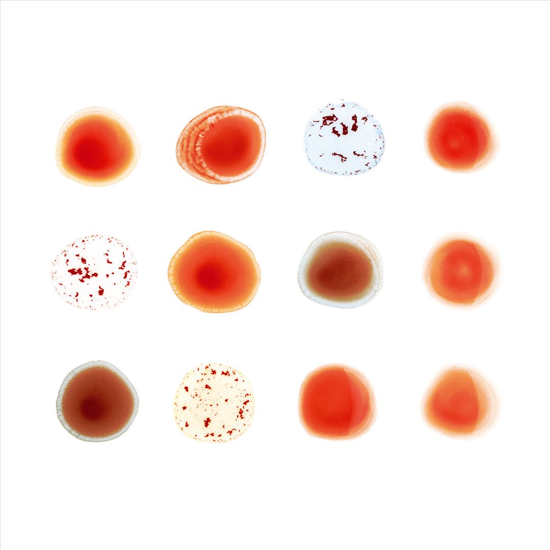 Scratch My Back/And I'll Scratch Yours cover art