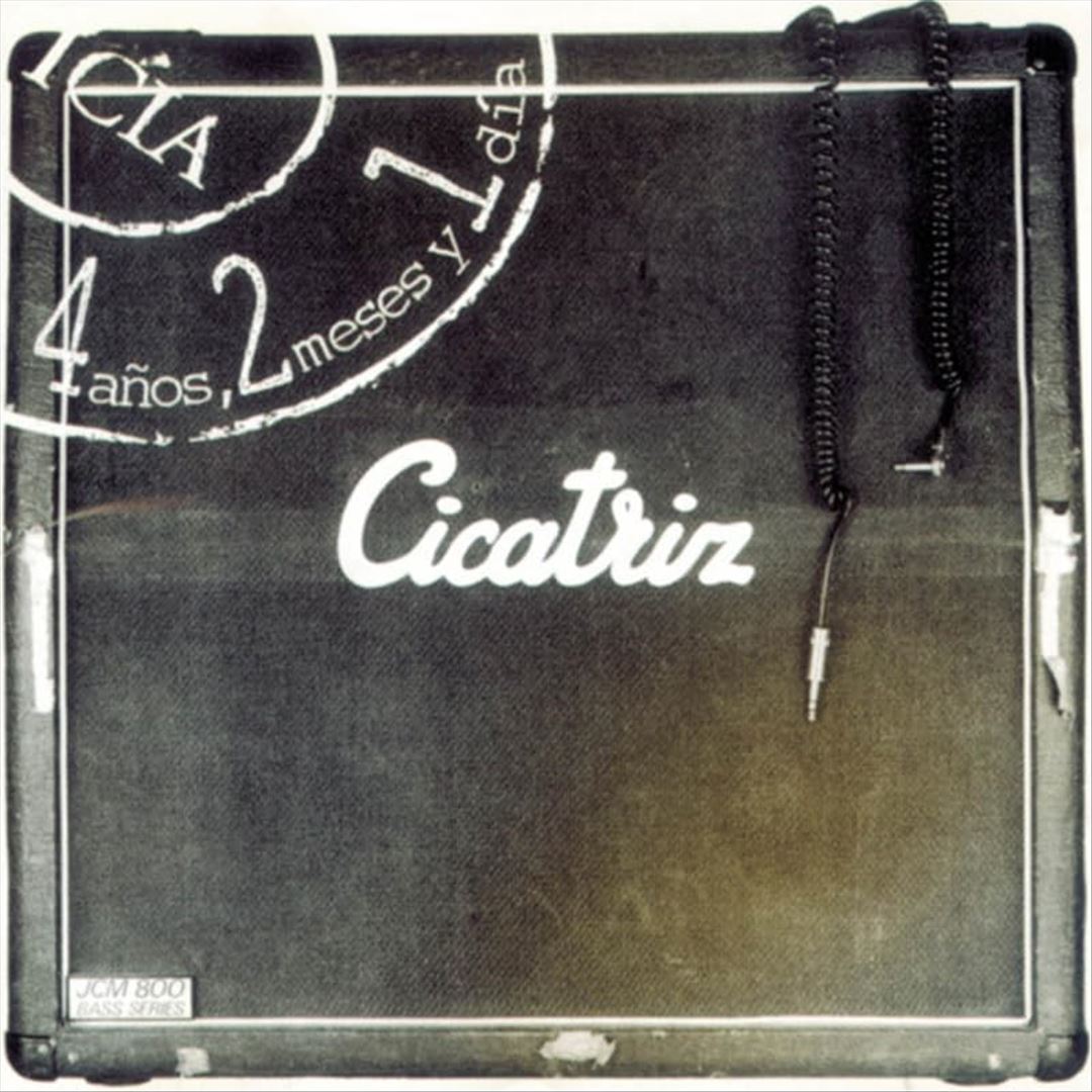 4 Anos, 2 Meses y un Dia cover art