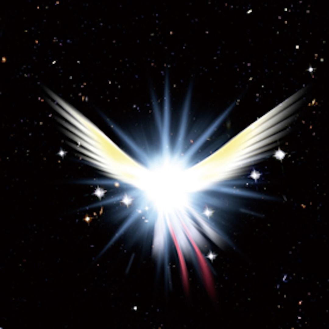 Space Bird cover art