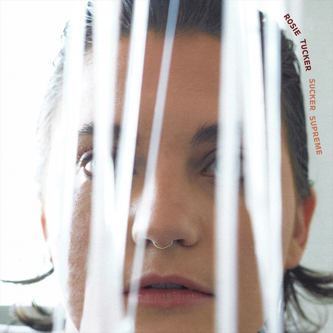 Sucker Supreme cover art