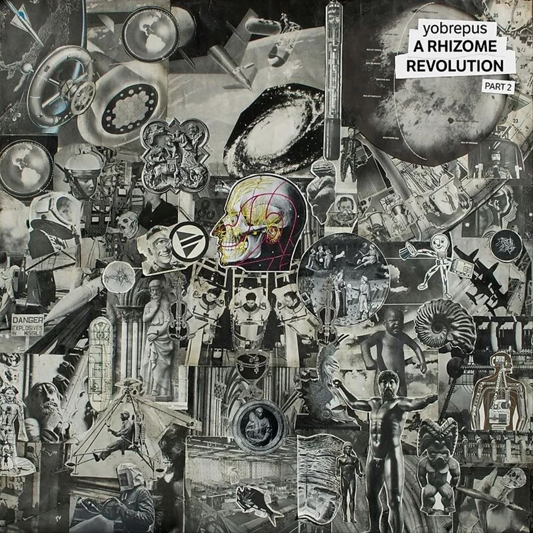 Rhizome Revolution Part 2 cover art