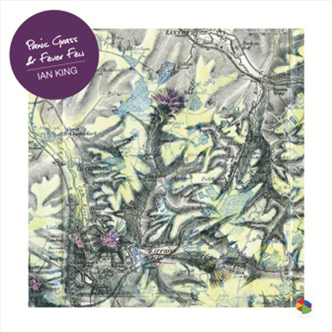 Panic Grass & Fever Few cover art