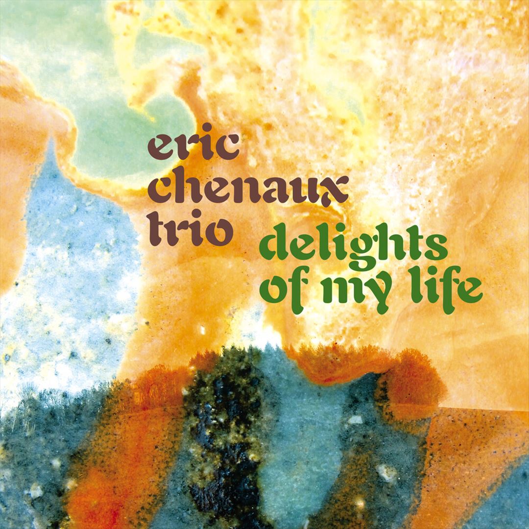Delights of My Life cover art