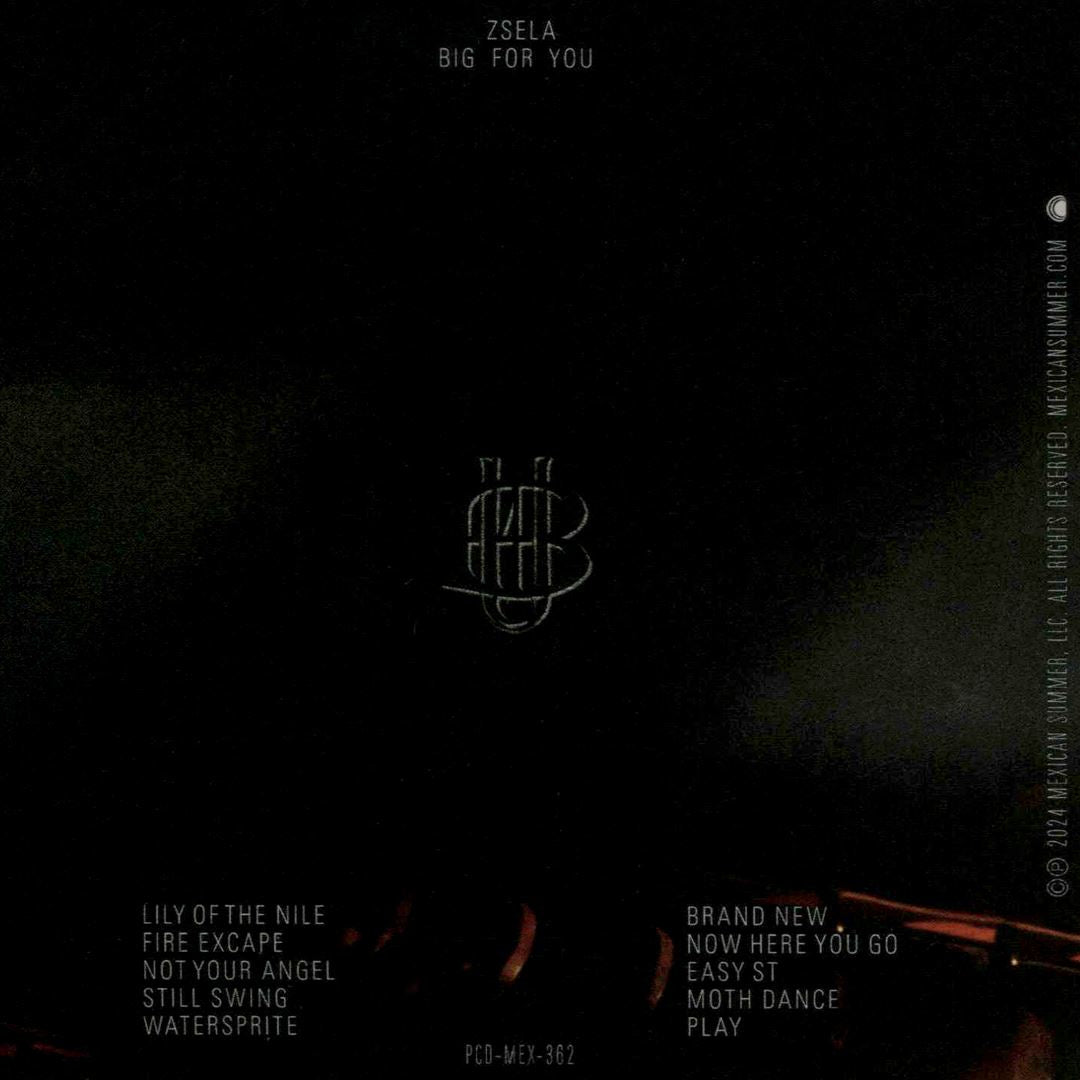 Big for You cover art