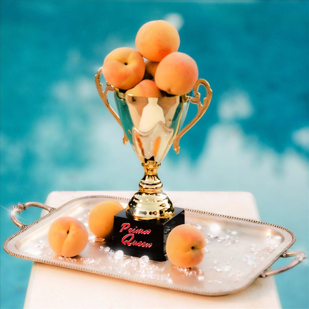 Prize cover art