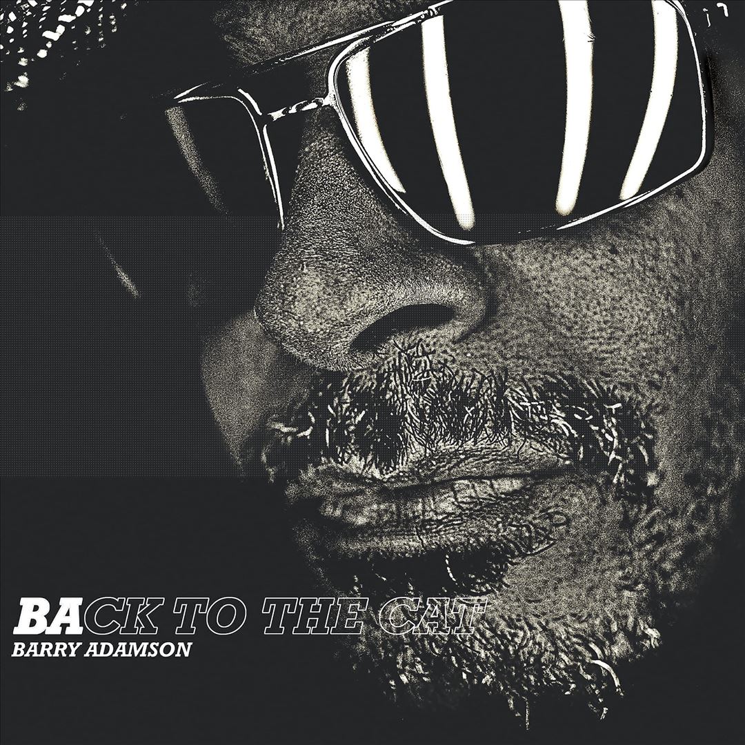 Back to the Cat cover art