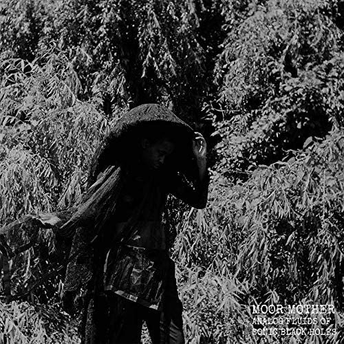 Analog Fluids of Sonic Black Holes cover art