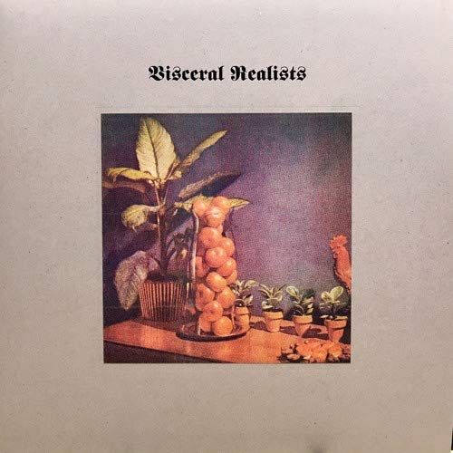 Visceral Realists cover art