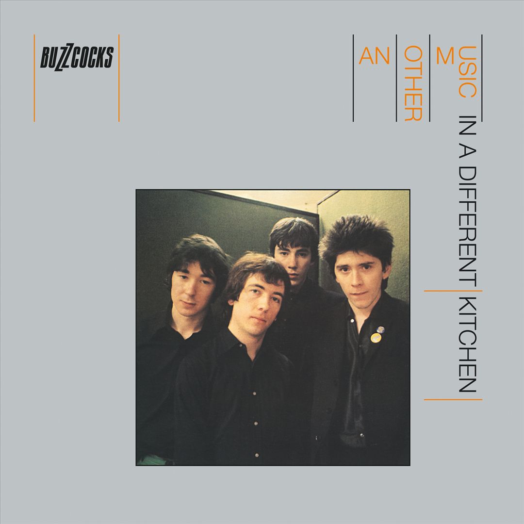 Another Music in a Different Kitchen cover art