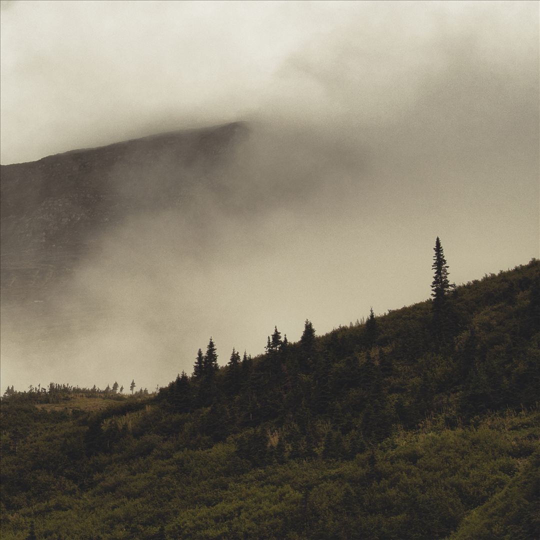 Tohu Wa Bohu cover art