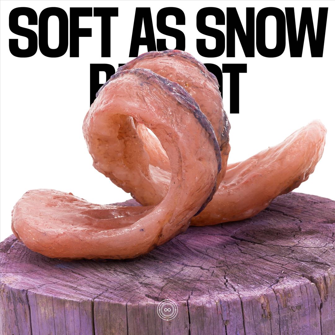 Bit Rot cover art