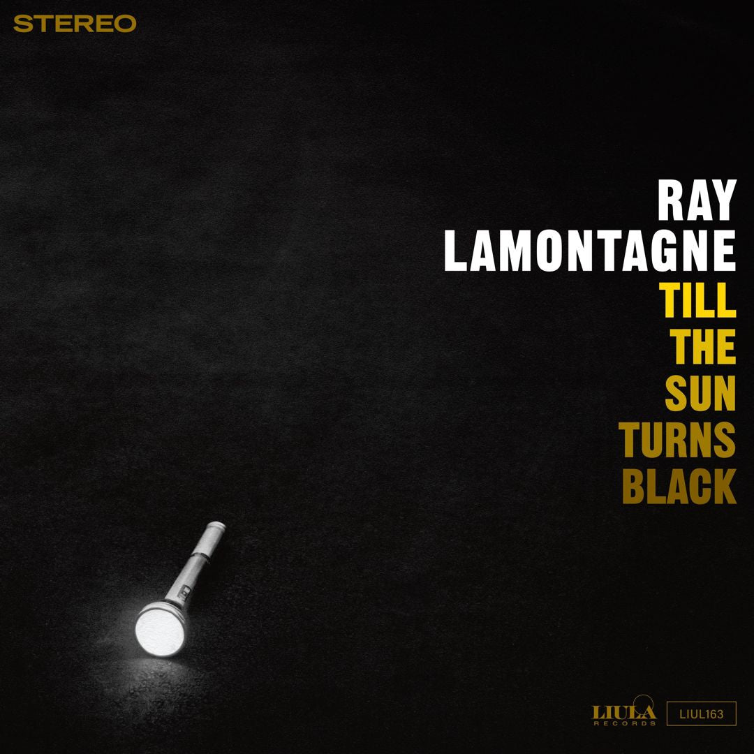 Till the Sun Turns Black cover art