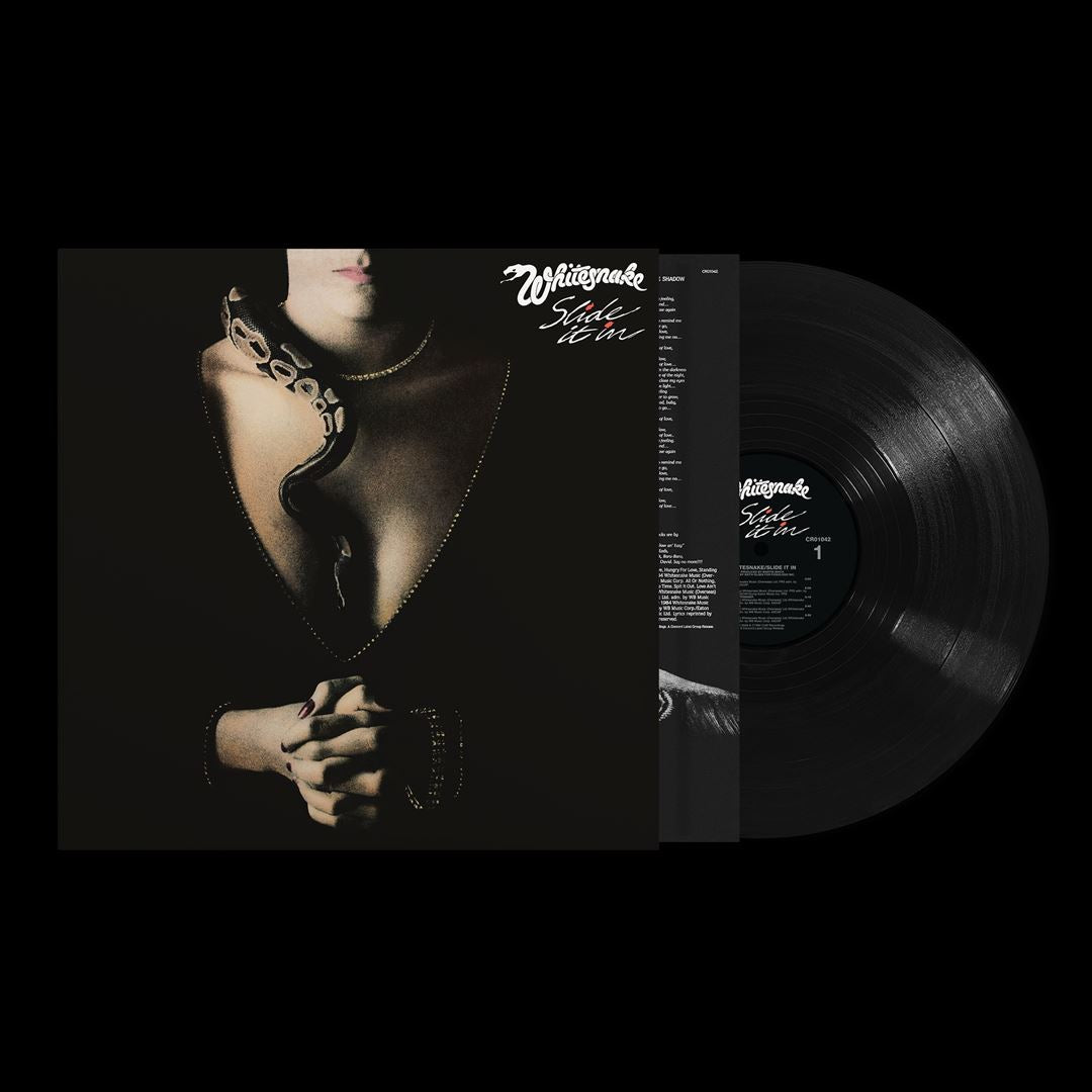Slide It In cover art